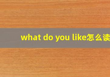 what do you like怎么读